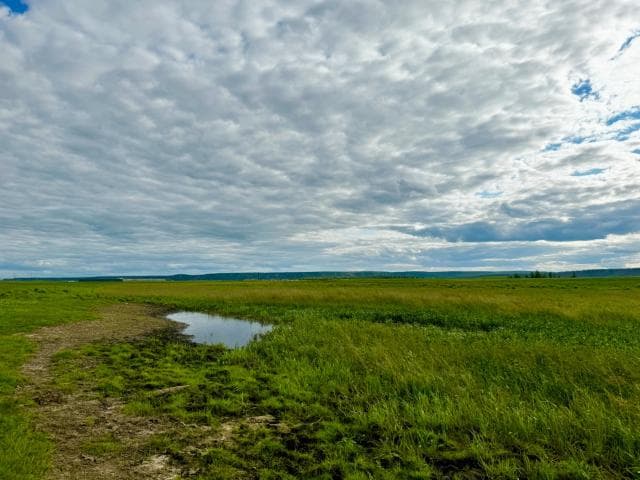 10000 м², земельные участки, продаю 5