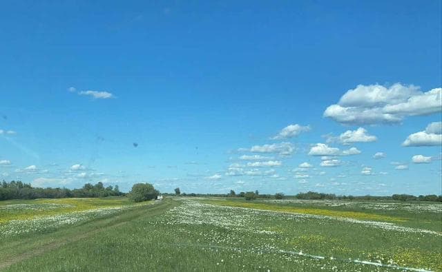 10000 м², земельные участки, продаю 5