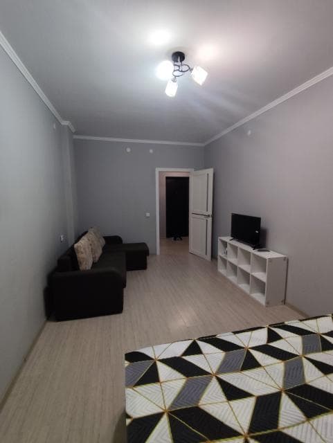 1 комн., 42 м², Инд. планировка, 203 мкрн.