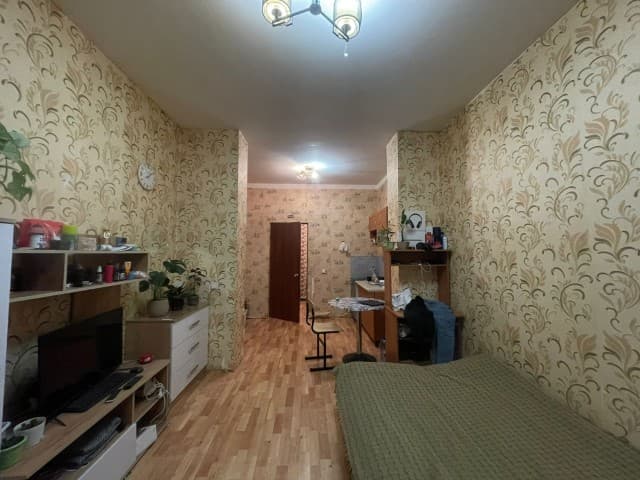 Студия, Другое, Поселок Геологов, Борисовка-1