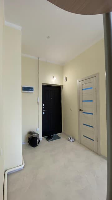 Студия, 30 м², Монолитно-каркасный, Сайсары 5