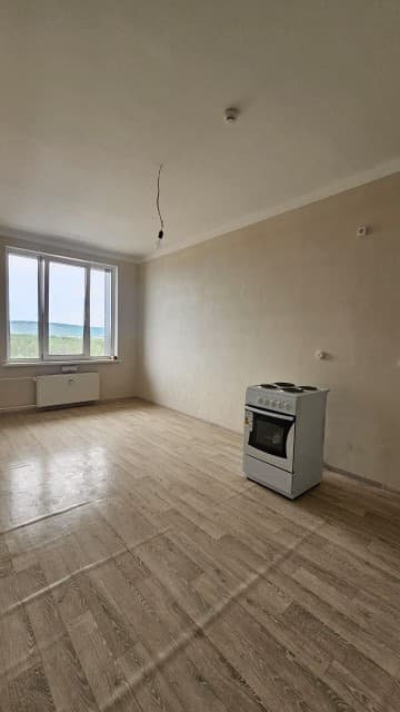 1 комн., 47 м², Монолитно-каркасный 4