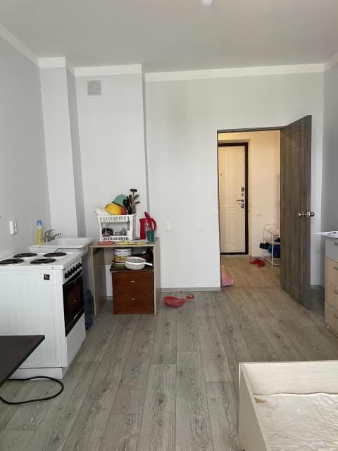 Студия, 25 м², Монолитно-каркасный, ДСК