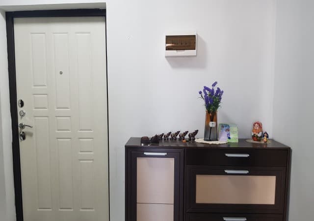 Студия, 25 м², Монолитно-каркасный, ДСК 4