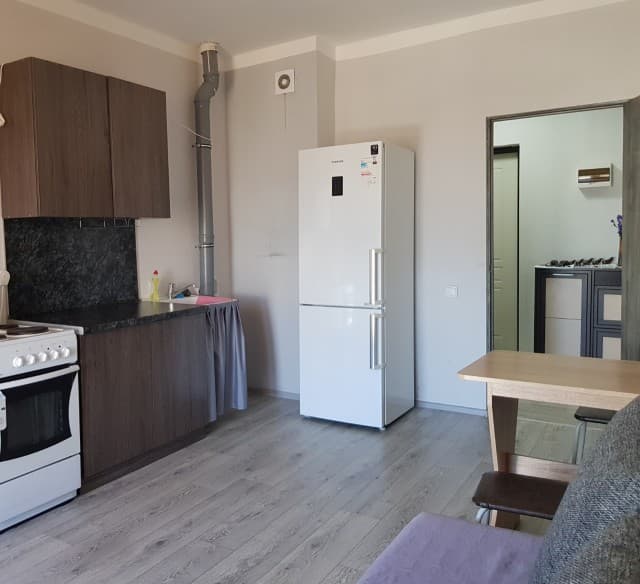 Студия, 25 м², Монолитно-каркасный, ДСК 3