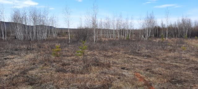 9000 м², земельные участки, продаю 5