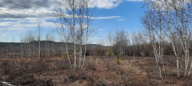 9000 м², земельные участки, продаю 3