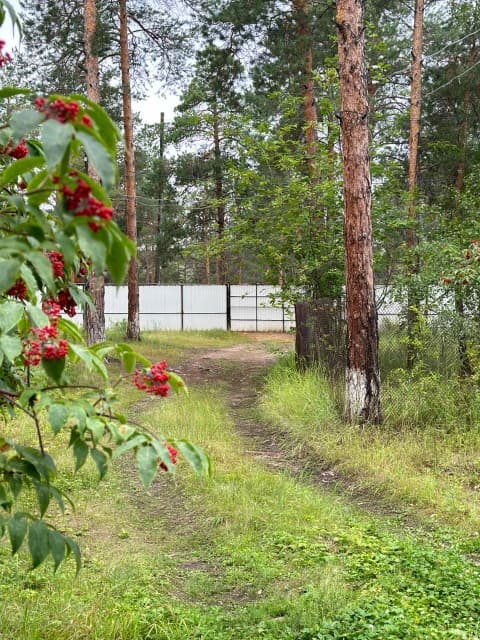 2000 м², земельные участки, продаю