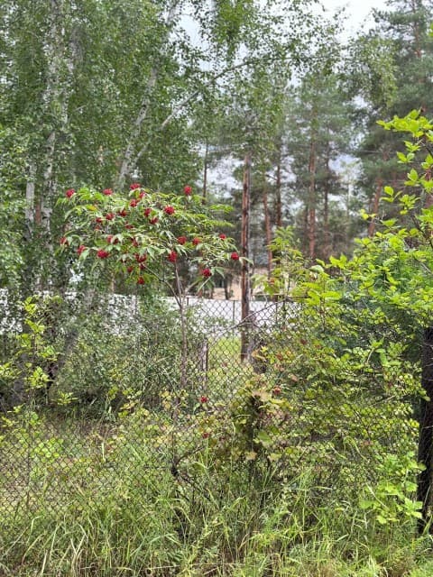 2000 м², земельные участки, продаю 8