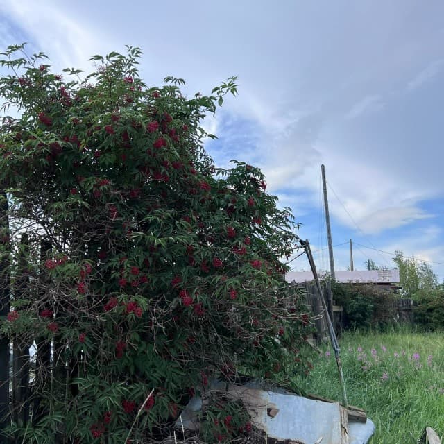 934 м², земельные участки, продаю 2