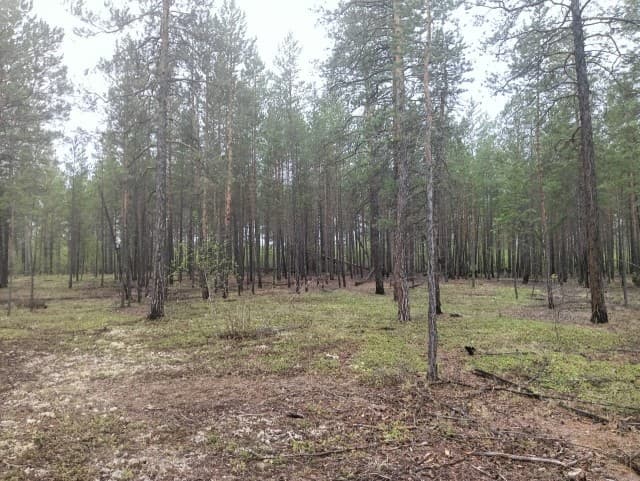 920 м², земельные участки, продаю 3