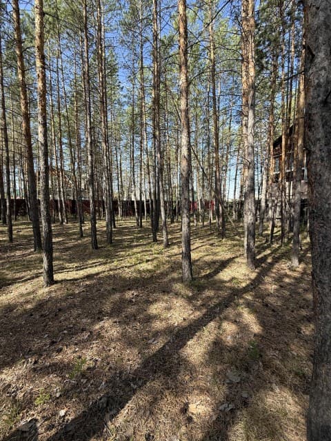 3000 м², земельные участки, продаю 15