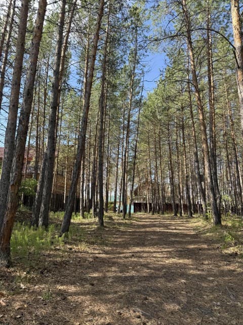 3000 м², земельные участки, продаю 2