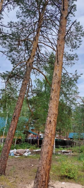 800 м², земельные участки, продаю 2