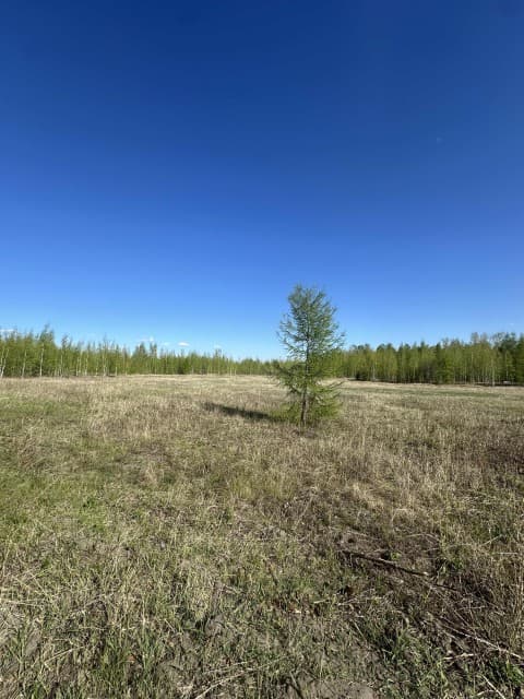 2000 м², земельные участки, продаю