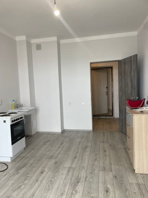 Студия, 25 м², Монолитно-каркасный, ДСК