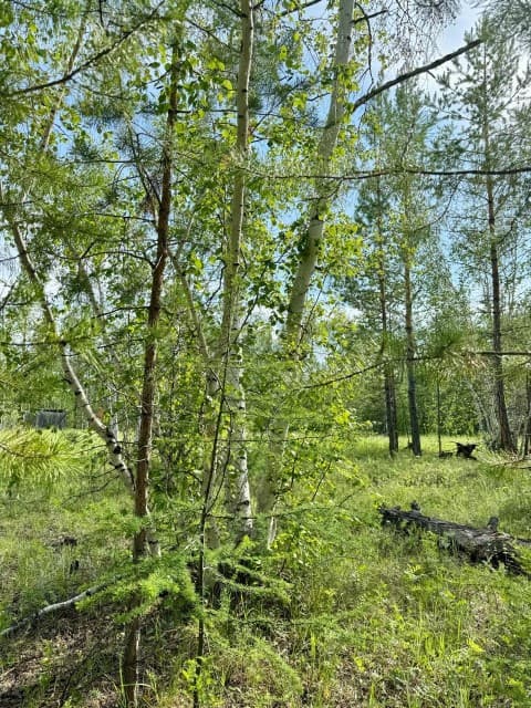 800 м², земельные участки, продаю 8