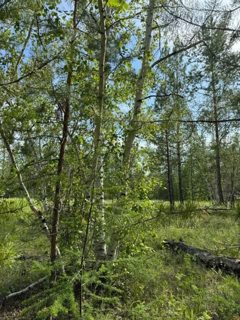 800 м², земельные участки, продаю 4