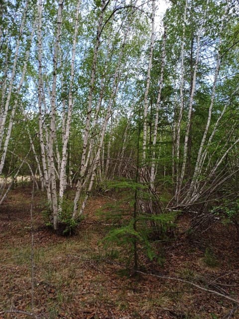 753 м², земельные участки, продаю 4