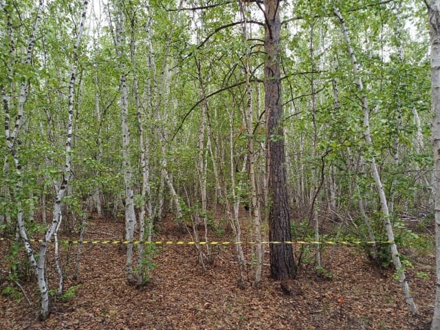 753 м², земельные участки, продаю 3