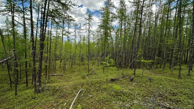 770 м², земельные участки, продаю
