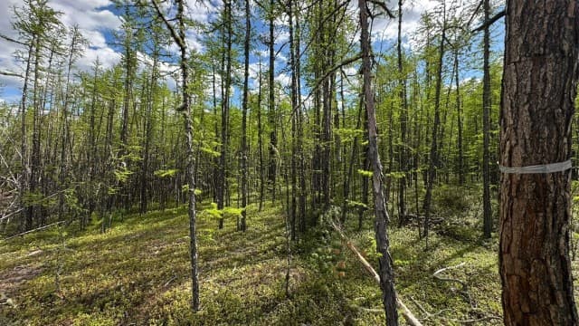770 м², земельные участки, продаю 2