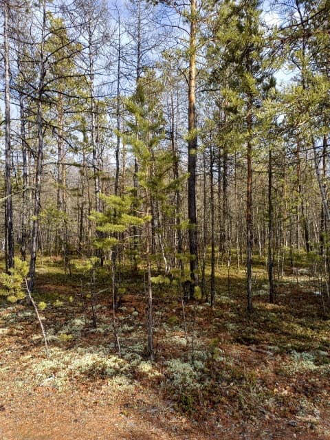 802 м², земельные участки, продаю 2