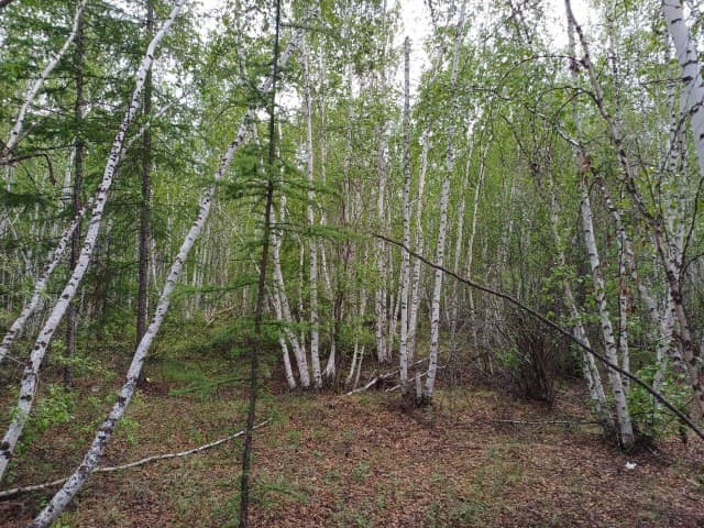 753 м², земельные участки, продаю 2