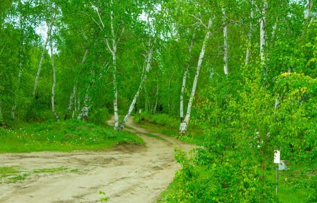 1513 м², земельные участки, продаю 16