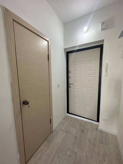 Студия, 29 м², Монолитно-каркасный, Сайсары 9