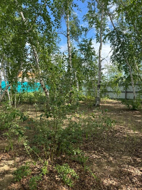 843 м², земельные участки, продаю 12