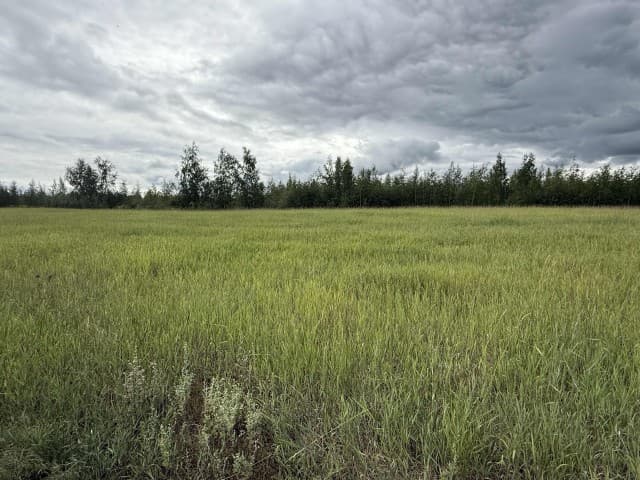 800 м², земельные участки, продаю 2