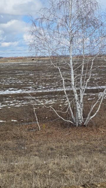 1000 м², земельные участки, продаю