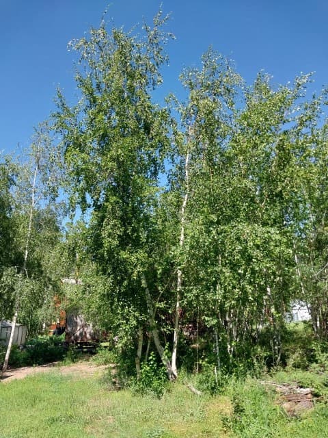 806 м², земельные участки, продаю 5