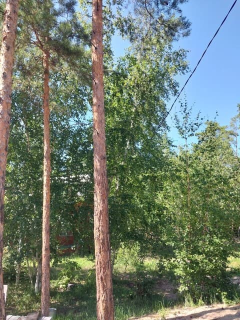806 м², земельные участки, продаю 3