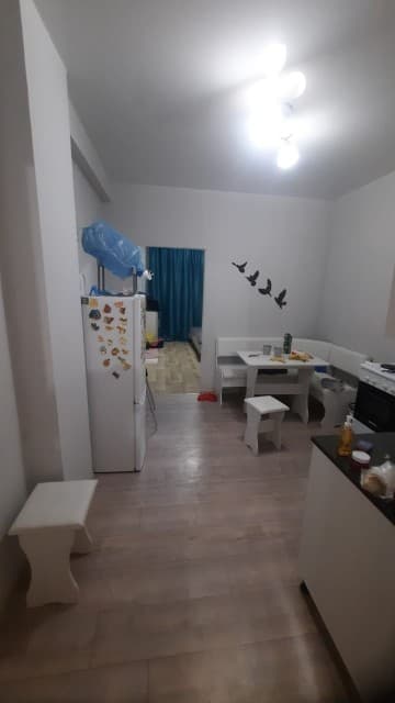 1 комн., 29 м², Монолитно-каркасный, Сайсары