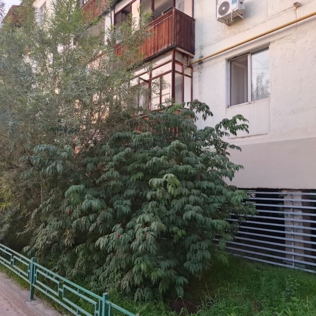 3 комн., 57 м², Блочный, Центр - район пл. Орджоникидзе 6