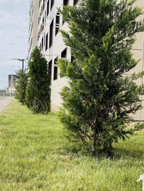 Студия, 26 м², Монолитно-каркасный, Другие районы 7