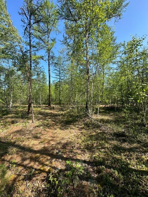 1160 м², земельные участки, продаю 5