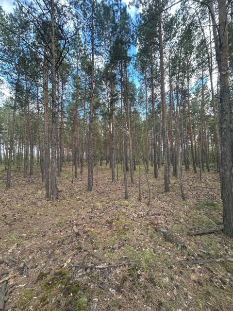 2000 м², земельные участки, продаю