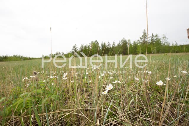 814 м², земельные участки, продаю 10