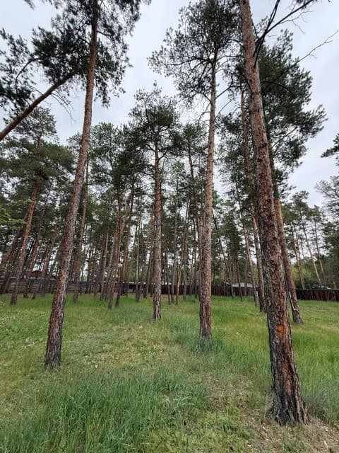 2686 м², земельные участки, продаю 10