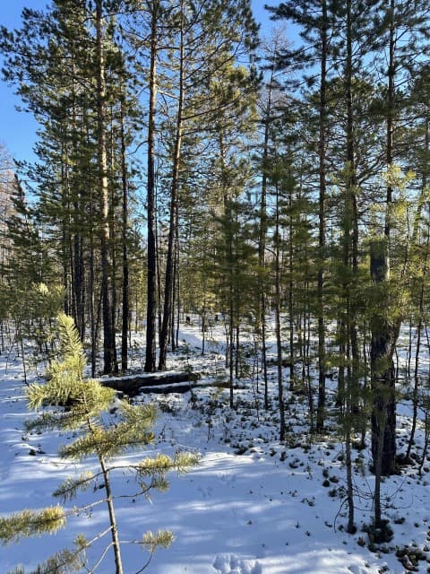 1000 м², земельные участки, продаю 2