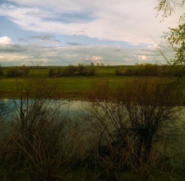 1174 м², земельные участки, продаю 2