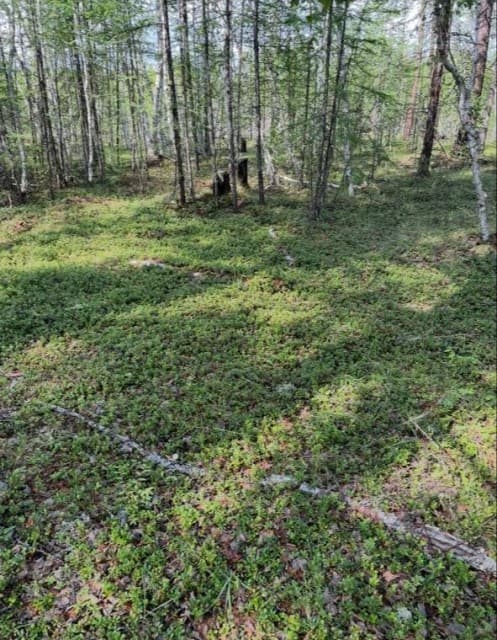 770 м², земельные участки, продаю