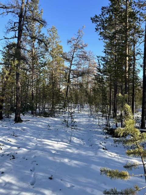 1000 м², земельные участки, продаю