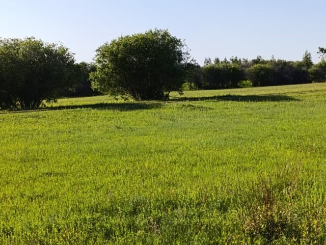 900 м², земельные участки, продаю 3