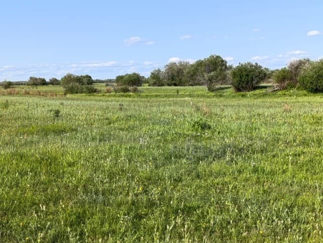 900 м², земельные участки, продаю 6