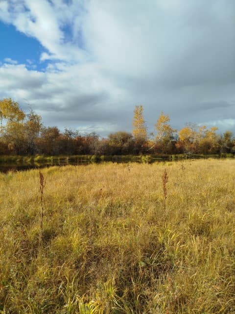 850 м², земельные участки, продаю 4