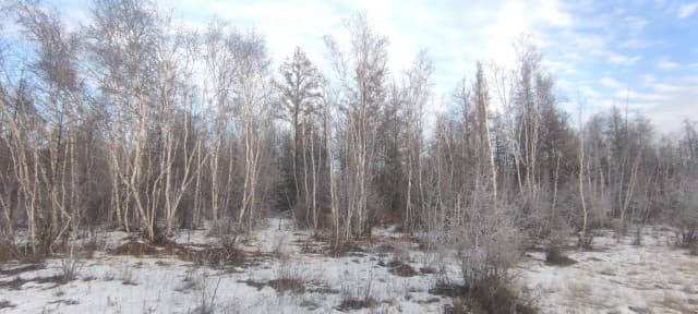 770 м², земельные участки, продаю 5